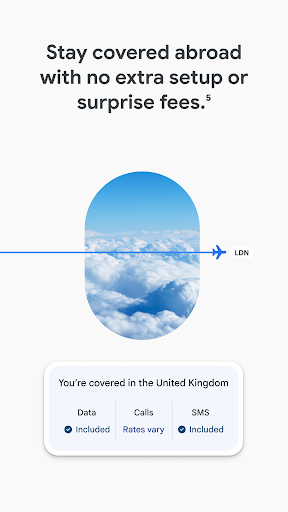 Google Fi Wireless